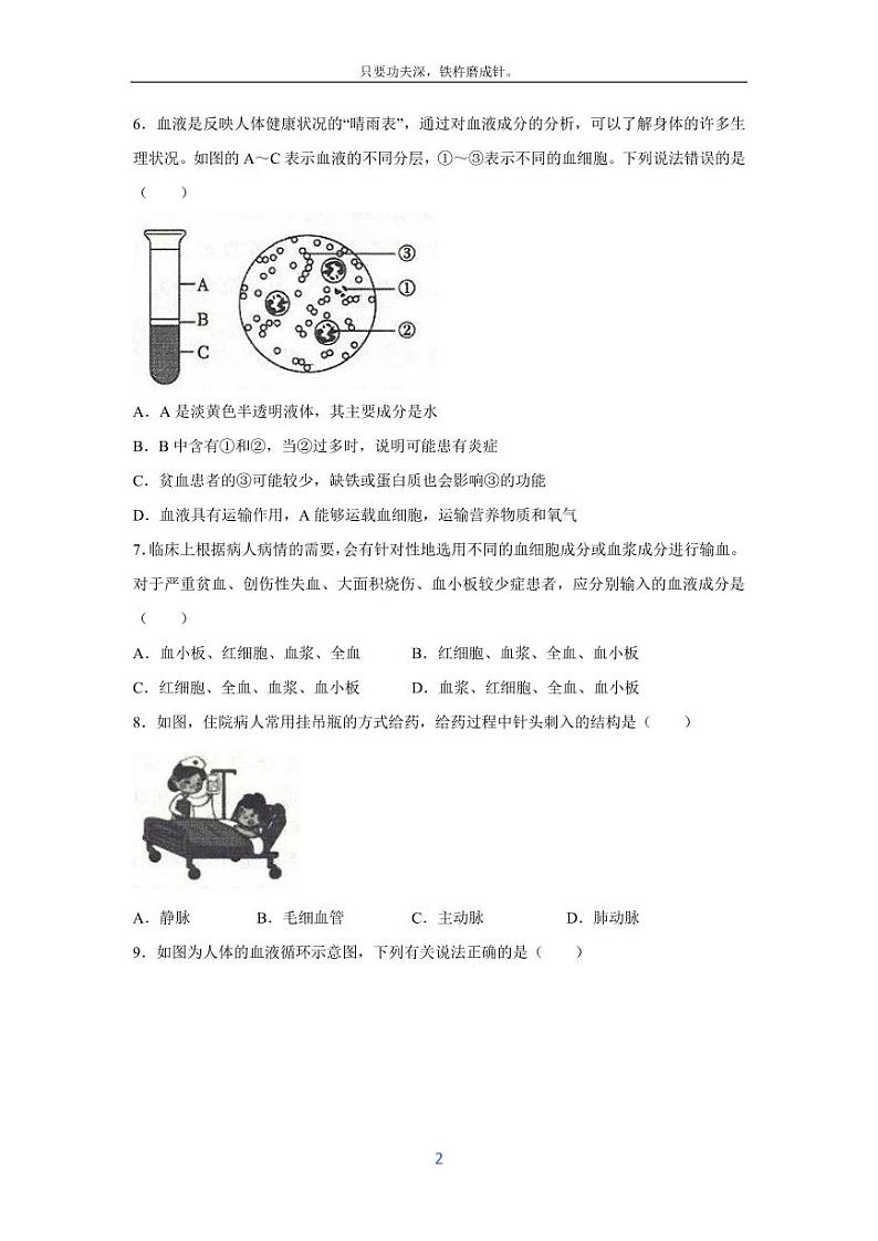 [生物][期末]安徽省阜阳市太和县2023-2024学年七年级下学期期末考试试题第2页