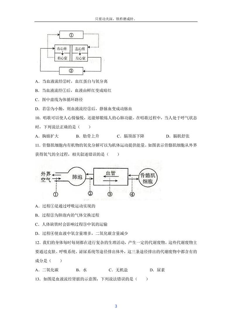 [生物][期末]安徽省阜阳市太和县2023-2024学年七年级下学期期末考试试题第3页