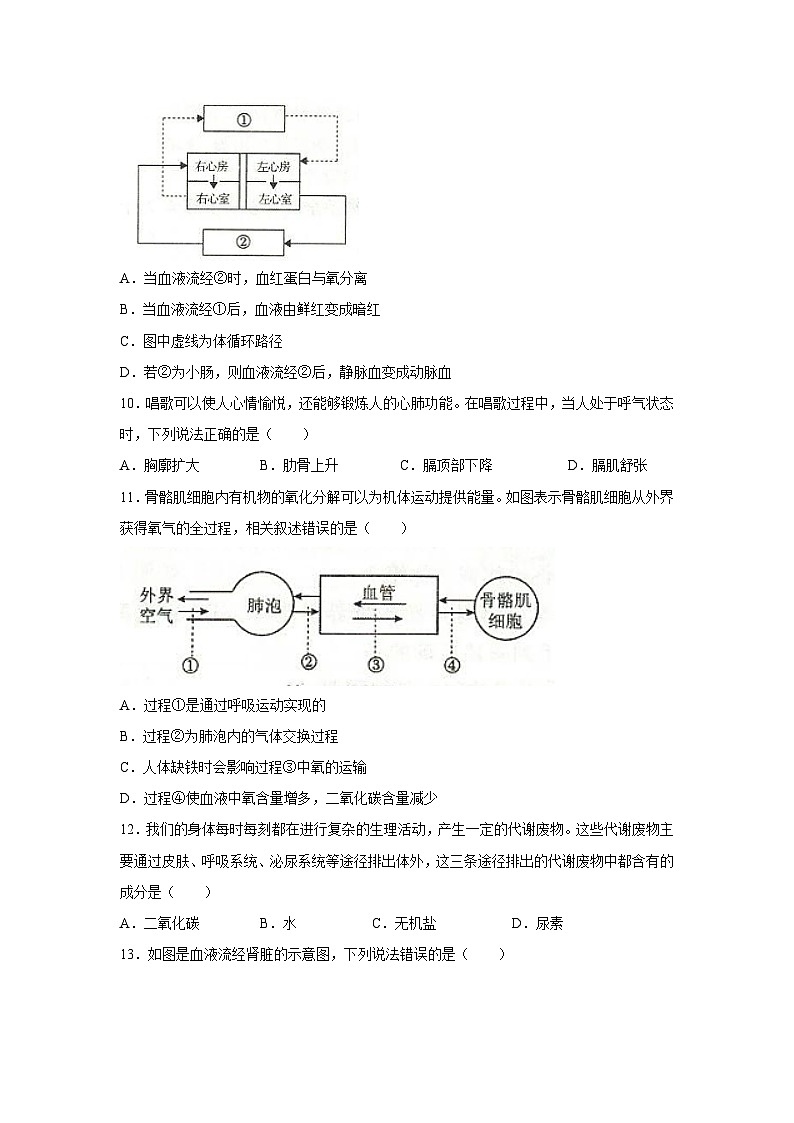 [生物][期末]安徽省阜阳市太和县2023-2024学年七年级下学期期末考试试题第3页