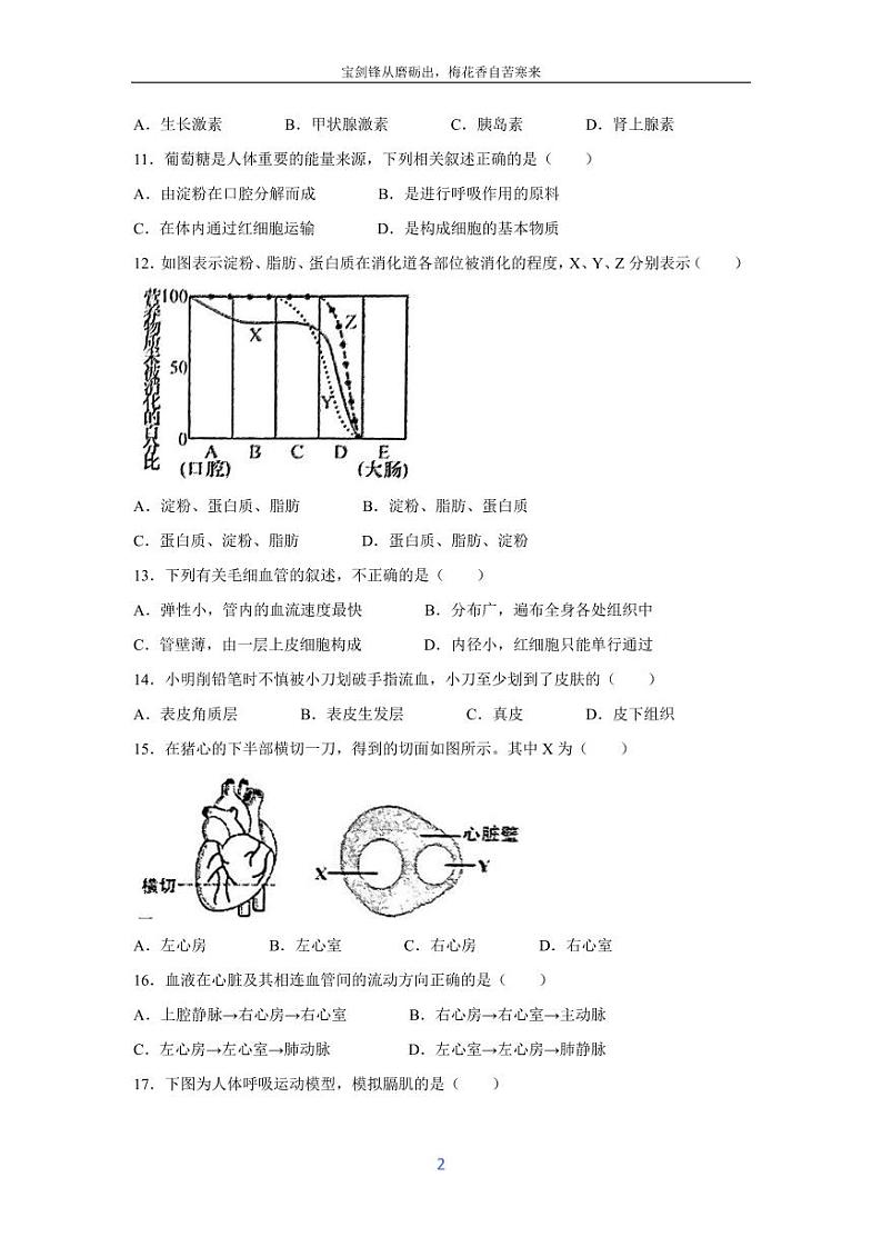 [生物][期末]福建省泉州市南安市2023-2024学年七年级下学期7月期末试题第2页