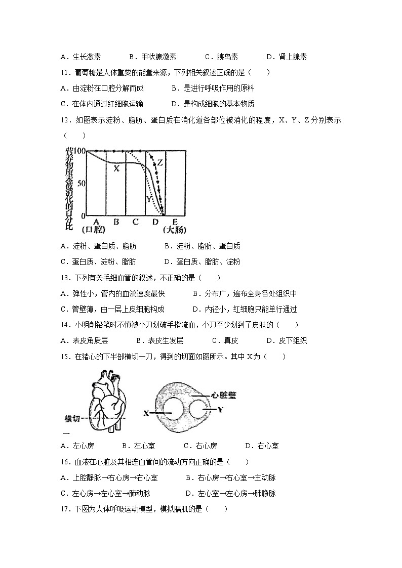 [生物][期末]福建省泉州市南安市2023-2024学年七年级下学期7月期末试题第2页