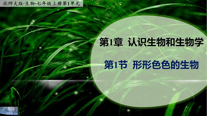 1.1 《形形色色的生物》  课件01