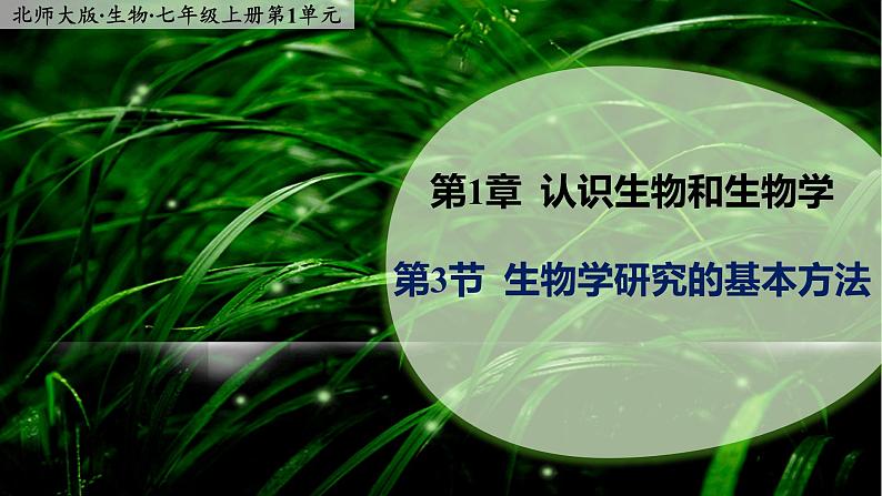 1.3《生物学研究的基本方法》课件01