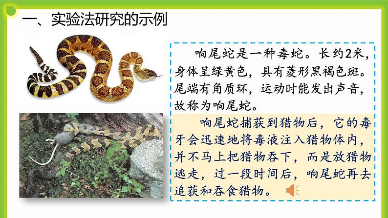 1.3《生物学研究的基本方法》课件07