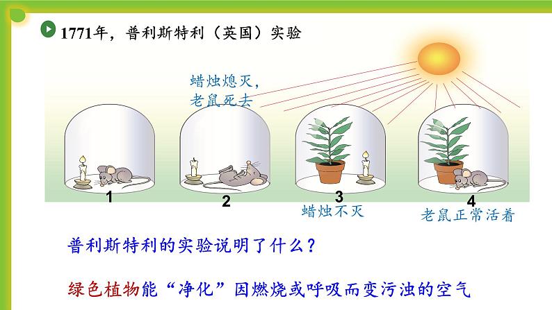 4.1.1《光合作用的探索》课件PPT08