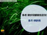 4.2《呼吸作用》课件PPT
