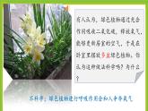 4.2《呼吸作用》课件PPT