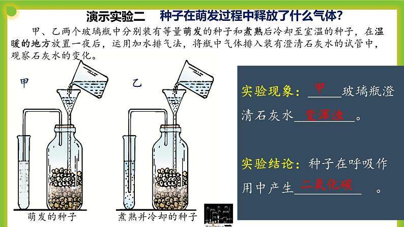 4.2《呼吸作用》课件PPT07