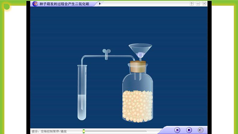 4.2《呼吸作用》课件PPT08