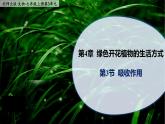 4.3《吸收作用》课件PPT