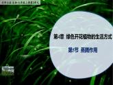 4.5《蒸腾作用》课件PPT