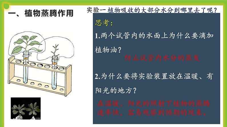 4.5《蒸腾作用》课件PPT06