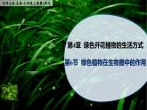 4.6《绿色植物在生物圈中的作用》课件PPT