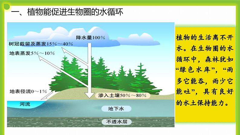 4.6《绿色植物在生物圈中的作用》课件PPT06