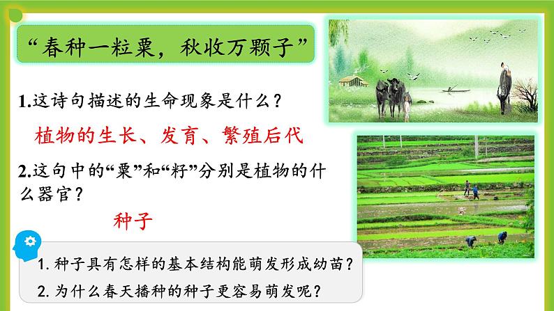 5.1《种子萌发形成幼苗》课件PPT04