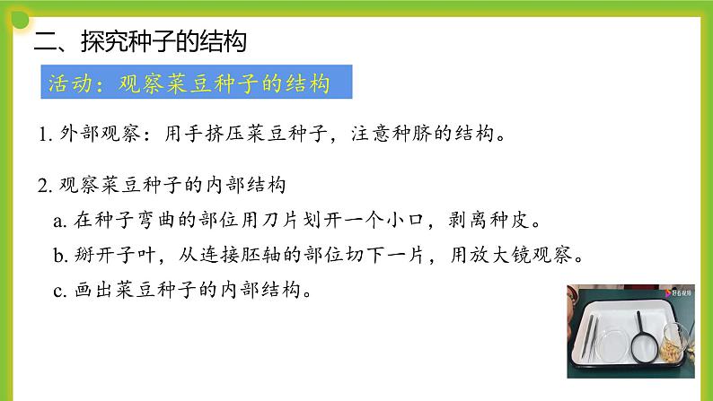 5.1《种子萌发形成幼苗》课件PPT07