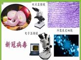 2.1.1 《显微镜的使用》课件