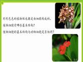 2.1.3《植物细胞结构和功能》 课件