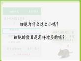3.1《细胞通过分裂而增殖》课件