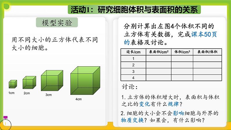 3.1《细胞通过分裂而增殖》课件08