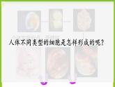 3.2《细胞分化形成形成组织》课件