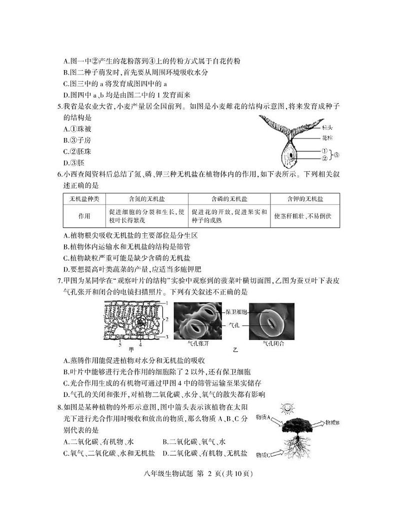 2024年山东省临沂市费县中考二模生物试题02