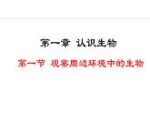 1.1.1  观察周边环境中的生物 课件-2024--2025学年人教版生物七年级上册