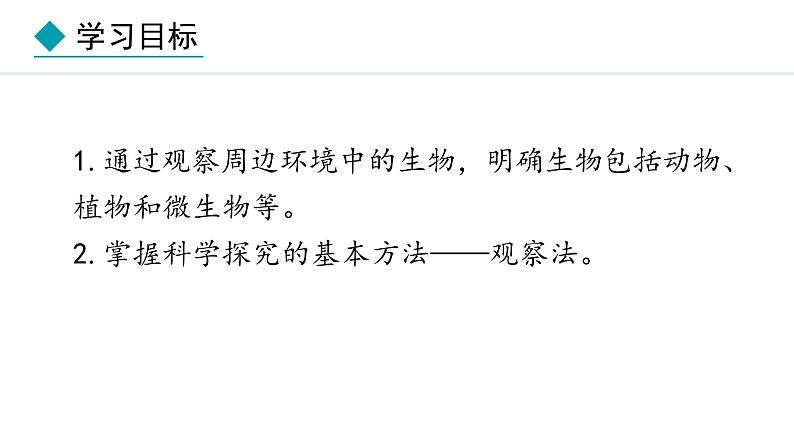 1.1.1  观察周边环境中的生物 课件-2024--2025学年人教版生物七年级上册02