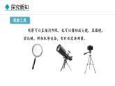 1.1.1  观察周边环境中的生物 课件-2024--2025学年人教版生物七年级上册