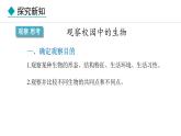1.1.1  观察周边环境中的生物 课件-2024--2025学年人教版生物七年级上册