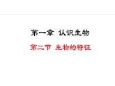 1.1.2  生物的特征 课件-2024--2025学年人教版生物七年级上册