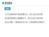 1.1.2  生物的特征 课件-2024--2025学年人教版生物七年级上册