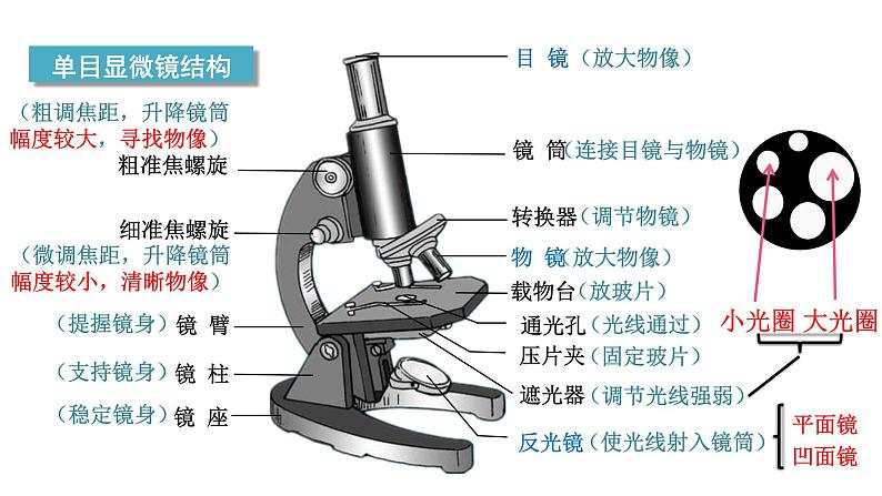 1.2.1  学习使用显微镜 课件-2024--2025学年人教版生物七年级上册04