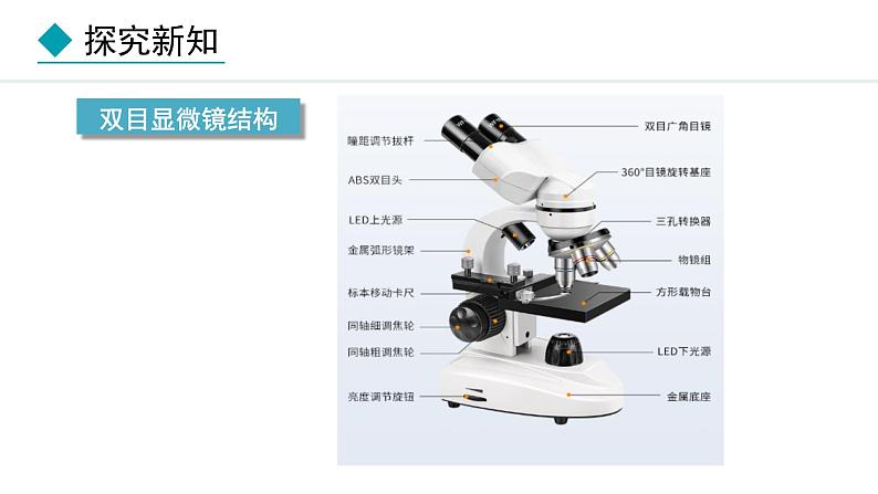 1.2.1  学习使用显微镜 课件-2024--2025学年人教版生物七年级上册06