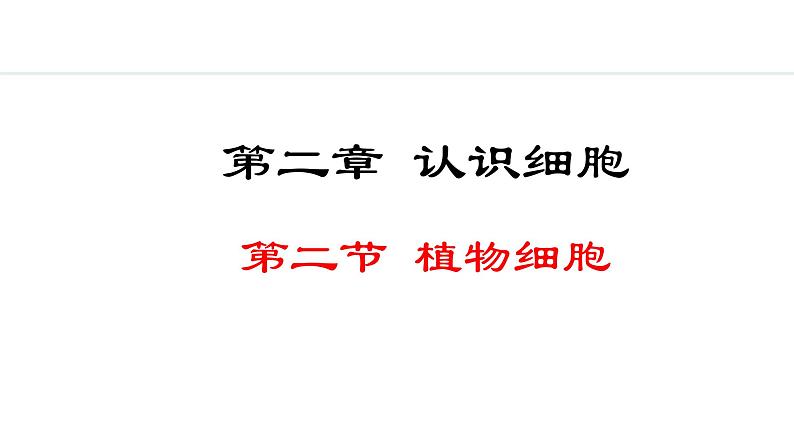 1.2.2  植物细胞 课件-2024--2025学年人教版生物七年级上册01