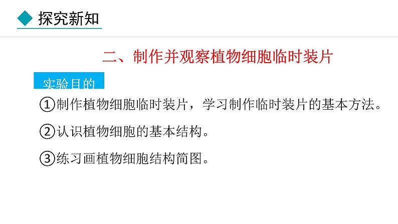 1.2.2  植物细胞 课件-2024--2025学年人教版生物七年级上册05