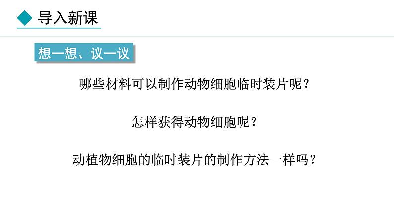 1.2.3  动物细胞 课件-2024--2025学年人教版生物七年级上册02