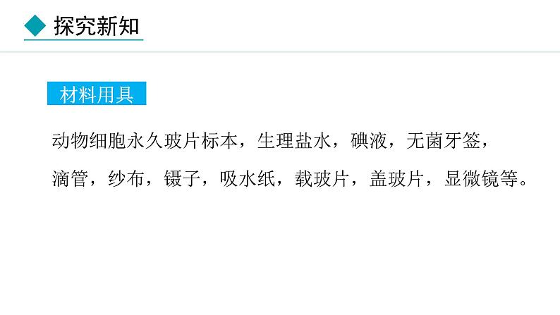 1.2.3  动物细胞 课件-2024--2025学年人教版生物七年级上册04