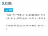 1.2.3  动物细胞 课件-2024--2025学年人教版生物七年级上册