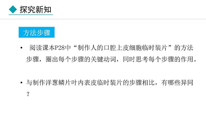 1.2.3  动物细胞 课件-2024--2025学年人教版生物七年级上册05