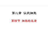 1.2.4  细胞的生活 课件-2024--2025学年人教版生物七年级上册