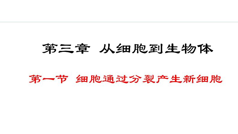 1.3.1  细胞通过分裂产生新细胞 课件-2024--2025学年人教版生物七年级上册01