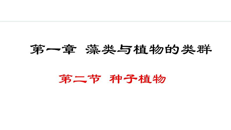 2.1.2  种子植物 课件-2024--2025学年人教版生物七年级上册01