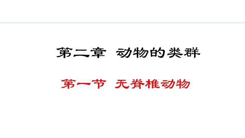 2.2.1  无脊椎动物 课件-2024--2025学年人教版生物七年级上册01