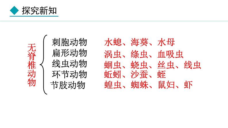 2.2.2  第1课时  鱼 课件-2024--2025学年人教版生物七年级上册03