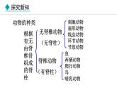 2.2.2  第1课时  鱼 课件-2024--2025学年人教版生物七年级上册