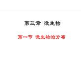 2.3.1  微生物的分布 课件-2024--2025学年人教版生物七年级上册