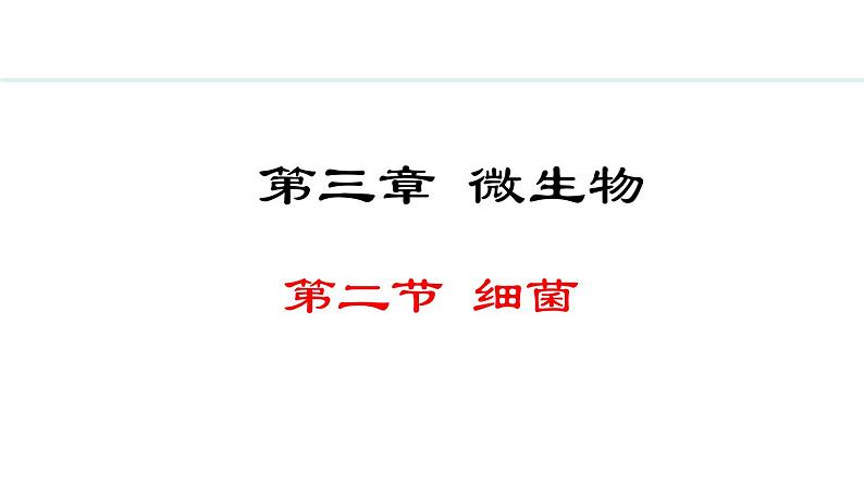 2.3.2  细菌 课件-2024--2025学年人教版生物七年级上册01