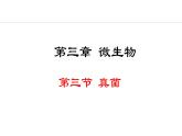 2.3.3  真菌 课件-2024--2025学年人教版生物七年级上册