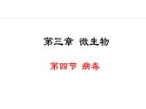 2.3.4  病毒 课件-2024--2025学年人教版生物七年级上册